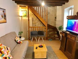 LOVELY DUPLEX in the center of FONTAINEBLEAU - Fontainebleau - 0