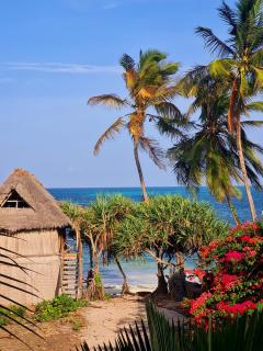 Beachfront Villa Ladha ya Zanzibar - Jambiani - 9