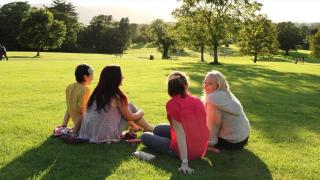 Solo Traveller Guest Lodgings - Rostrevor - 2