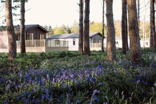 Hollicarrs - Newlands - York - 9