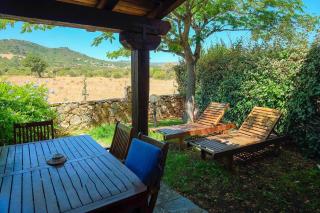 Schiera La Primula - 9