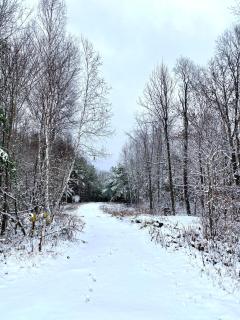 Modern Cabin in pristine nature - Rumney - 3