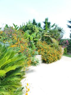 Luxueuse Villa Climatisée à Cannes - Vallauris - 5