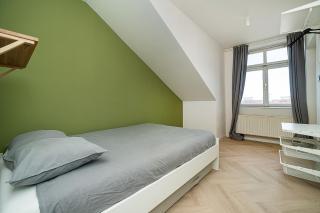 Big 4-bedroom flat, terrace with great Vítkov view - 2