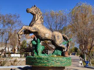 Le Vallon Vert - Club Equestre - 1