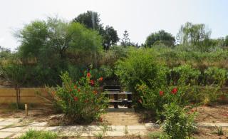 Case Barrera - Portopalo di Capo Passero - 6