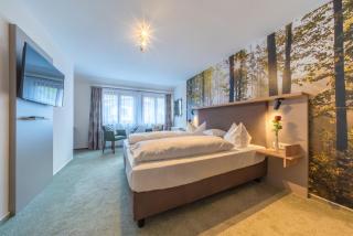 Landhotel Salmen - Oberkirch - 6