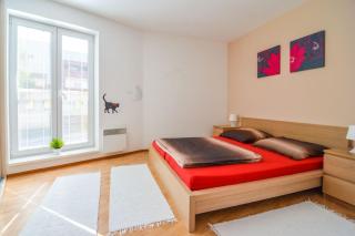 Apartman U Kostela - Deštné v Orlických horách - 8