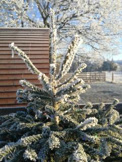 Sunny Mount Glamping Pod - Long Marton - 3