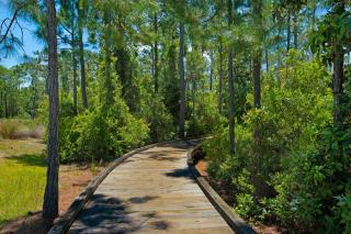 Bluegrass by the Sea - Santa Rosa Beach - 5