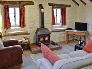 Rhydlanfair Cottage - Capel Garmon - 9
