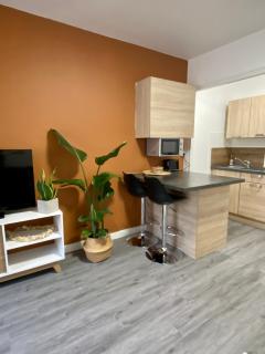 Studio Confort Centre Ville - Bourg-en-Bresse - 2