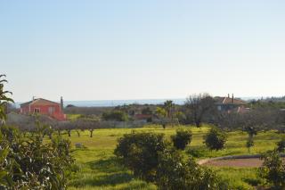 Quinta das Figueiras - Vila Nova de Cacela - 4