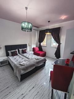 Apartments Ohrid Lake - 1