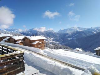 Le Chalet de Bisanne - 6