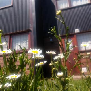 Taragui Place - 1