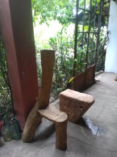 Casa alma verde alegría y paz - 6