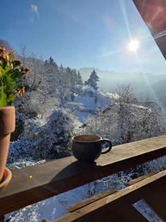 Gemütliche Waldrandlage in Badenweiler Sehringen Ferienwohnung - 6