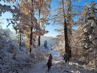 Gemütliche Waldrandlage in Badenweiler Sehringen Ferienwohnung - 3