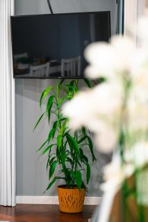 Rose House By Atlantic Holiday - Machico - 6