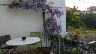 Le coteau del aime - Tolone - 1