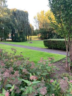 Lux 2 Bedroom Ground Floor Apartment - 1