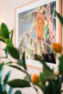 Banana Lodge by Atlantic Holiday - Funchal - 1