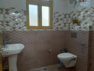 Gazing Moon Homestay - Shamshi - 2