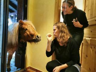 Ferienwohnung Kunz - Burg - 6