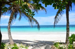 Olas Tulum - 2