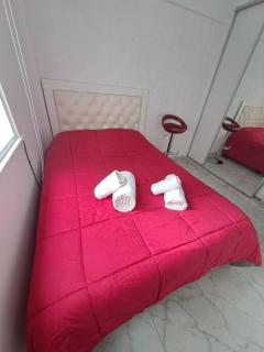 Departamento de Lujo en la Ciudad Buenos Aires - Buenos Aires - 5
