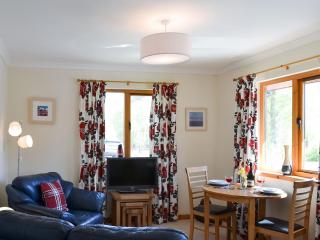 Birch Lodge - 28880 - 9