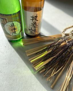 ゲストハウス and BAR CHITEN - 1