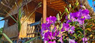 Baan 2 Dao Farmstay - Chiang Dao - 5