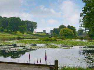 Lake View Cottage - Cv7103 - Saint Cleer - 3