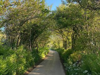Little Barn - Cottage - Holsworthy - 8