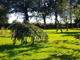 Little Barn - Cottage - Holsworthy - 7