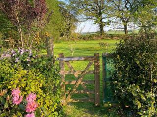 Little Barn - Cottage - Holsworthy - 3