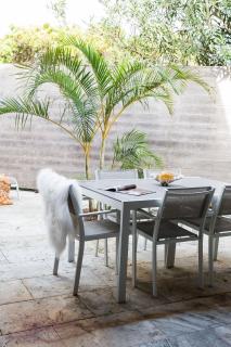 The Coconut Palm TWO - Sunshine Beach - 5