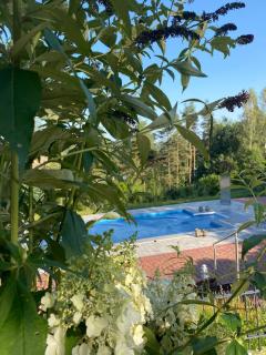 Lesny Apartament - 5