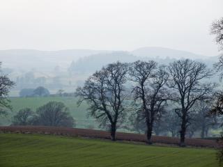 The Cottage - Bankfoot - 9