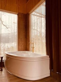 Woodland house - Dzentsmani - 5