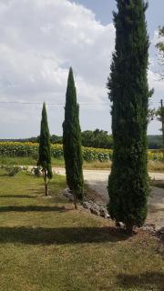 charmant logement à la campagne - 6