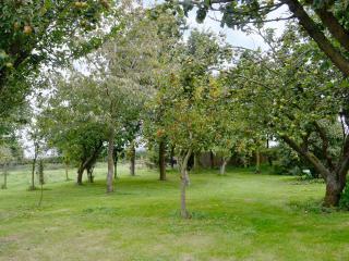 Ostlers Cottage - Long Bennington - 9