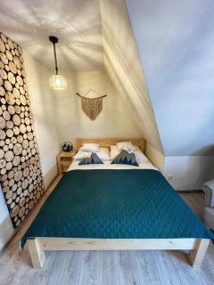 Moje Pieniny Apartament - Szczawnica - 5