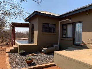 African Olive - Hoedspruit - 0