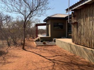 African Olive - Hoedspruit - 5