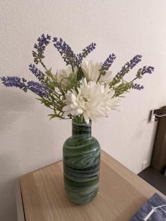 Luxurious & lovely vacation home - 4