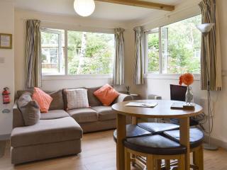 Chalet 1 - Uk12561 - Mount Hawke - 9