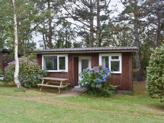 Chalet 1 - Uk12561 - Mount Hawke - 5